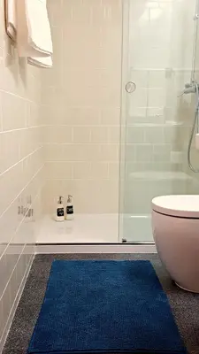 a bathroom with a shower and a toilet and a blue rug at Flowers Center in Porto