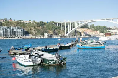 a group of boats docked in a river with a bridge at Merc Porto Ribeira`s Place in Porto