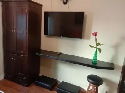 a room with a tv and a shelf with a flower in a vase at Faria Guimares Porto Centro in Porto