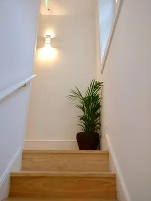 a stairwell with a potted plant on it at D&S - Loureiro 67 in Porto