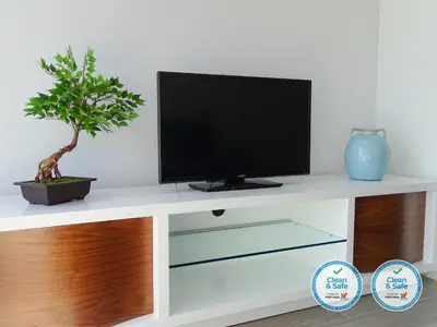 a television on a white entertainment center with a plant at RS Porto Apartments in Porto