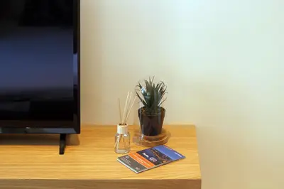 a vase with a plant on a table next to a tv at HM - Pinheiro Cosy Apartment in Porto