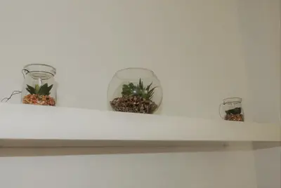 three plants in glass jars on a shelf at Rendez Vous Porto in Porto