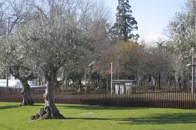 a tree in the grass in front of a fence at Oporto Centre Clean & Cozy Apt 2 in Porto