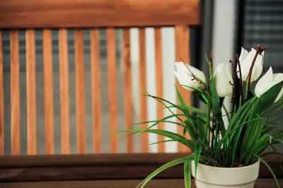 a vase with white flowers in front of a bench at Apartamento da Lapa in Porto