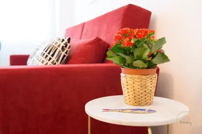 a vase of flowers on a table next to a couch at Oporto Ceuta Residences - Residence 2 by We Do Living in Porto