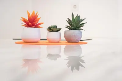 three potted plants sitting on a wooden shelf at GuestReady - Chic city nest in Porto in Porto