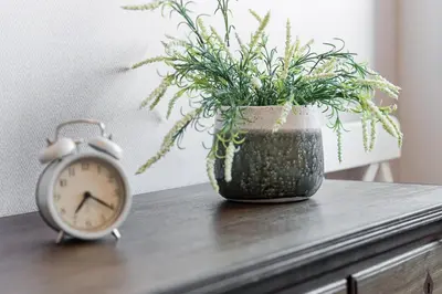 an alarm clock and a potted plant on a table at GuestReady - Crayon Walls Apartments in Porto