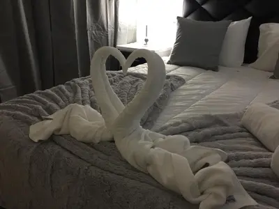 two white swans making a heart on a bed at Invicta house Boavista in Porto