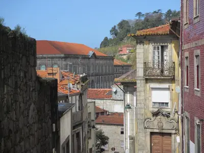 a group of buildings in a city with roofs at Studio Tomás Gonzaga in Porto