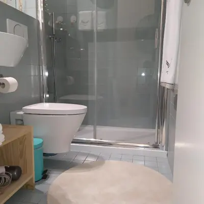 a bathroom with a shower with a toilet and a rug at Oporto Golden View Vitória in Porto