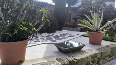a garden with potted plants and a stone wall at Ruby Charm Houses in Porto