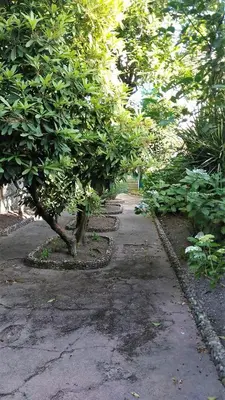 a walkway with trees on the side of a street at Casa Familiar do Porto in Porto