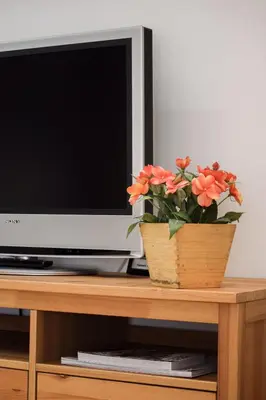 a potted plant sitting on a table next to a television at Aurora Street in Porto