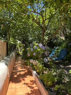 a garden with purple flowers next to a fence at Casa Portugueza Experience in Porto