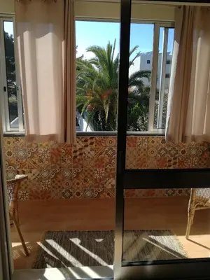 a room with windows with a couch and a palm tree at A Casa da Maria in Porto