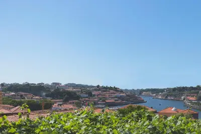 a view of a river and a city at APOSENTUS - Your home with a remarkable view in Vila Nova de Gaia