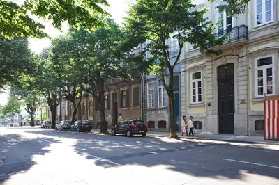 a tree lined street in front of a building at Oporto Cozy Design Studio - Solar da Avenida in Porto