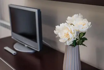 a vase with white flowers in front of a television at GuestReady - Amaryllis Apartment in Porto