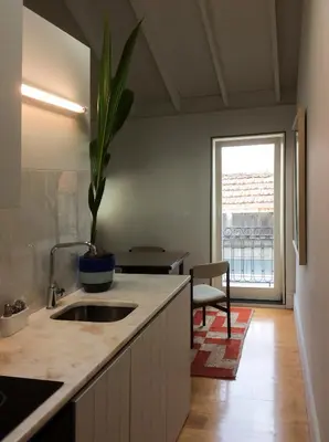 a kitchen with a sink and a potted plant at Villa Lóios by Casa do Conto in Porto