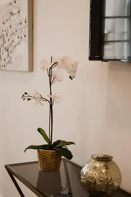 a glass table with a vase and a plant on it at Bruval Premium Apartments - Sé Porto in Porto