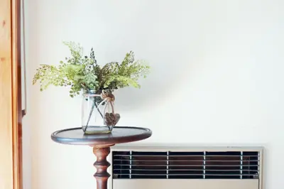 a vase of flowers on a table next to a radiator at Casa do Avô in Porto