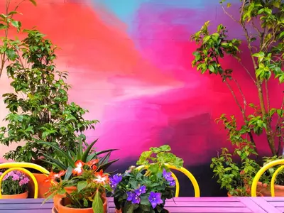 a group of plants and flowers against a wall at SUPERNOVA Hostel in Porto