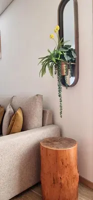 a living room with a couch and a table with a plant at Alma Invicta Alegria in Porto