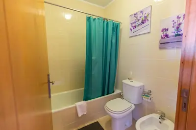 a bathroom with a toilet and a green shower curtain at Sunset Relaxing Apt with terrace, parking & bikes in Porto