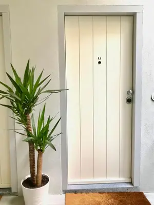 a white door with two plants in front of it at Lóios Flat in Porto