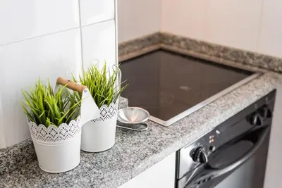 two potted plants sitting on a counter in a kitchen at GuestReady - Sweet & Relax Flat in Porto