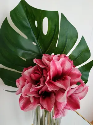 a vase filled with red flowers and green leaves at ML Apartments River in Porto