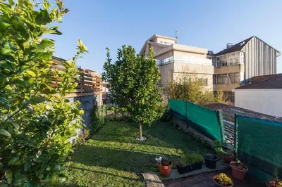 a small garden with a tree and some buildings at Bairro Alegre, Casa do Porto in Porto
