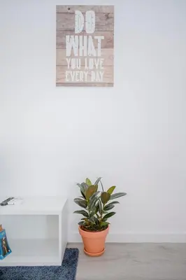 a sign that says do what you love every day in a room with a plant at Liiiving in Porto | Center Spot Apartment in Porto