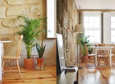 a living room with potted plants and a table at Elisa Apartment in Porto