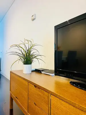 a television on a wooden dresser with a potted plant at PATEO LUSO - Cozy Apartment City Center in Porto