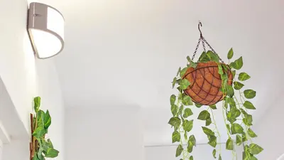 a hanging hoop with ivy on a wall at São João Oporto Residence I & II in Porto