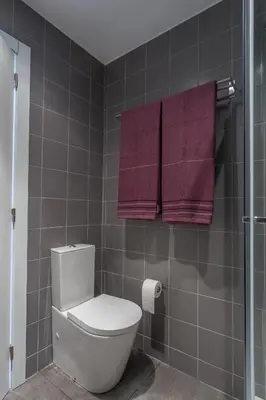 a bathroom with a toilet and purple towels at Alves da Veiga Apartments in Porto