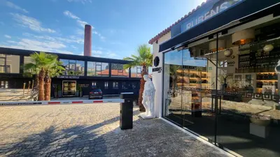a store front with palm trees in front of a building at Rubens Hotels & SPA in Vila Nova de Gaia