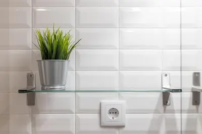 a glass shelf in a bathroom with a potted plant at Porto Garden Studio - Santa Catarina in Porto