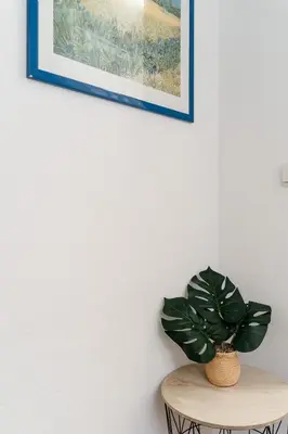 a plant sitting on a table under a picture at River Flat I - Heart of Porto in Porto