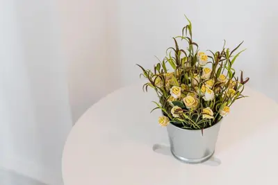a white vase filled with yellow flowers on a table at GuestReady - Music Flats 2 in Porto