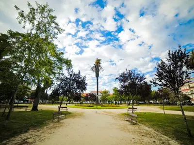 two benches in a park with a palm tree at Angel Flat in Porto