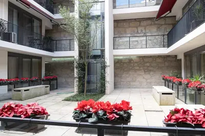 a group of red flowers in a courtyard at Casas do Teatro in Porto