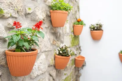 a group of potted plants on a stone wall at ZD Moreira Flats A By PortoProperties4You in Porto