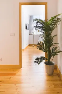 a plant in a pot in front of a mirror at Aposentus - Skyline Porto in Porto