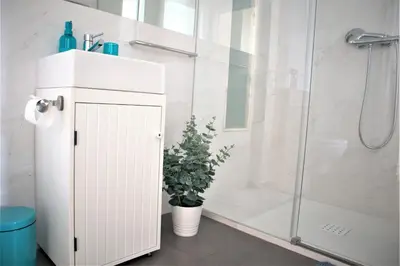 a white bathroom with a shower and a plant at NEW! Colorful and central (9 min-walk to main station) in Porto