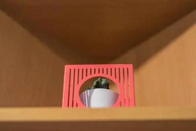a vase sitting on top of a shelf at GuestReady - City Blossom in Porto