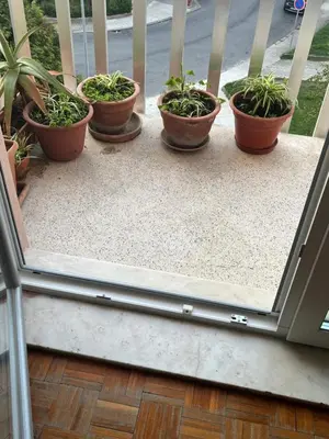 a group of potted plants sitting on a porch at 26/3 Casa da Música in Porto
