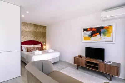 a living room with a bed and a television at BBA Apartments Palácio II - Garden View, Gym & Free Parking in Porto